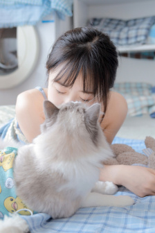 天美大象麻花高清在线看电视剧